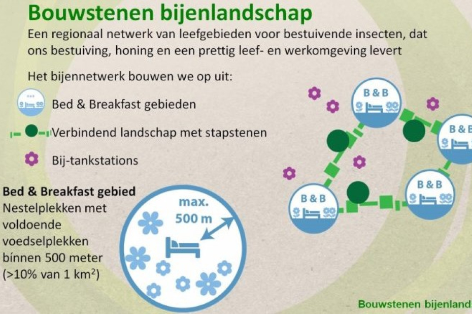 Schema bouwstenen van het bijenlandschap: Bed&Breakfastgebieden, verbindend landschap met stapstenen en bij-tankstations