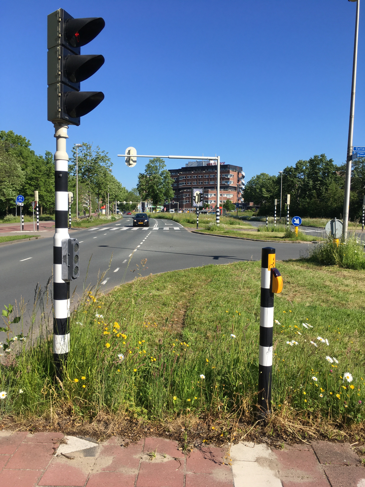Kruising met stoplichten bij een asfaltweg met brede bloemrijke bermen. Rond de kruising is alles kort gemaaid.