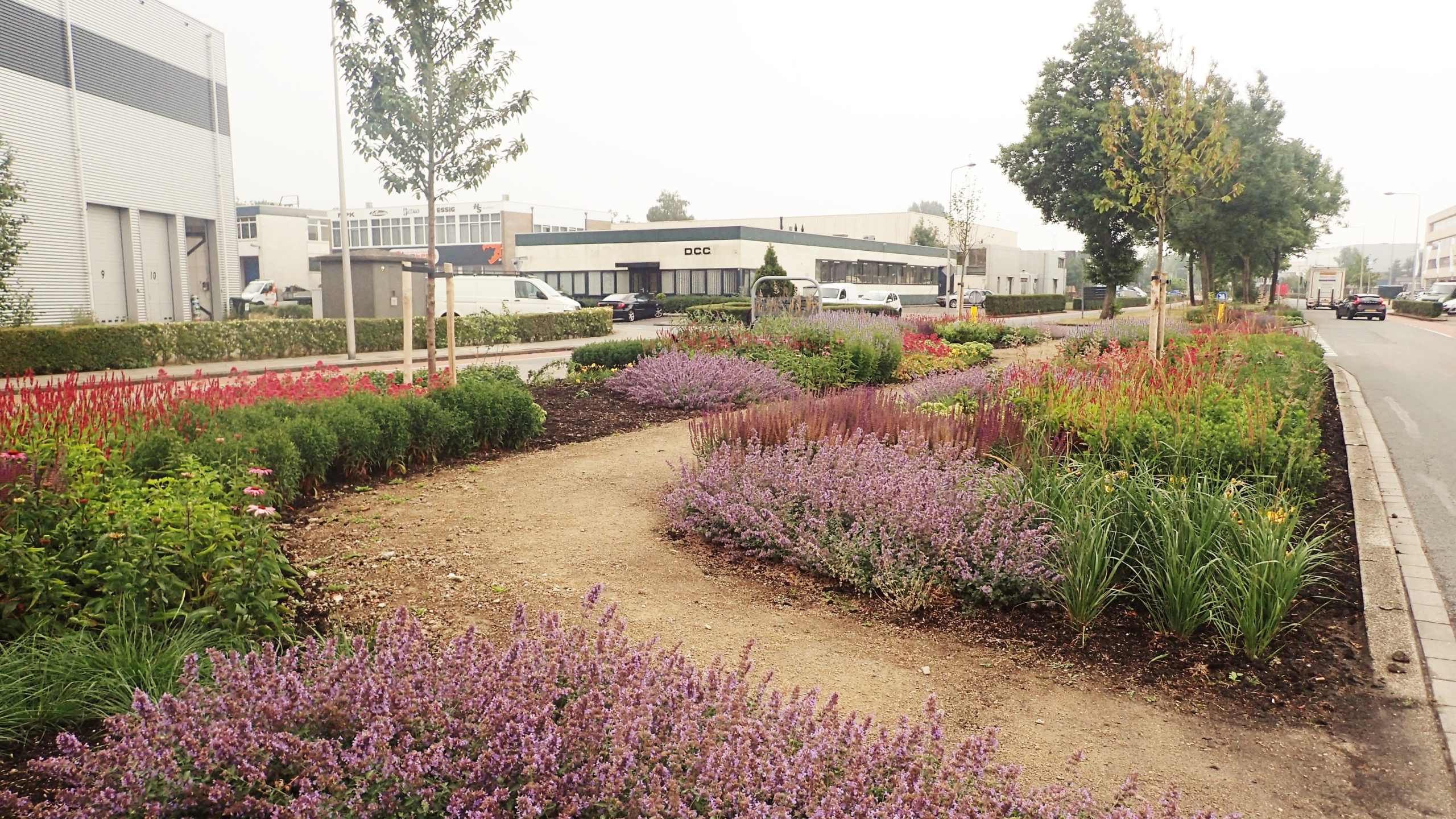 brede middenberm met bloeiende vaste planten en wandelpad op een bedrijventerrein