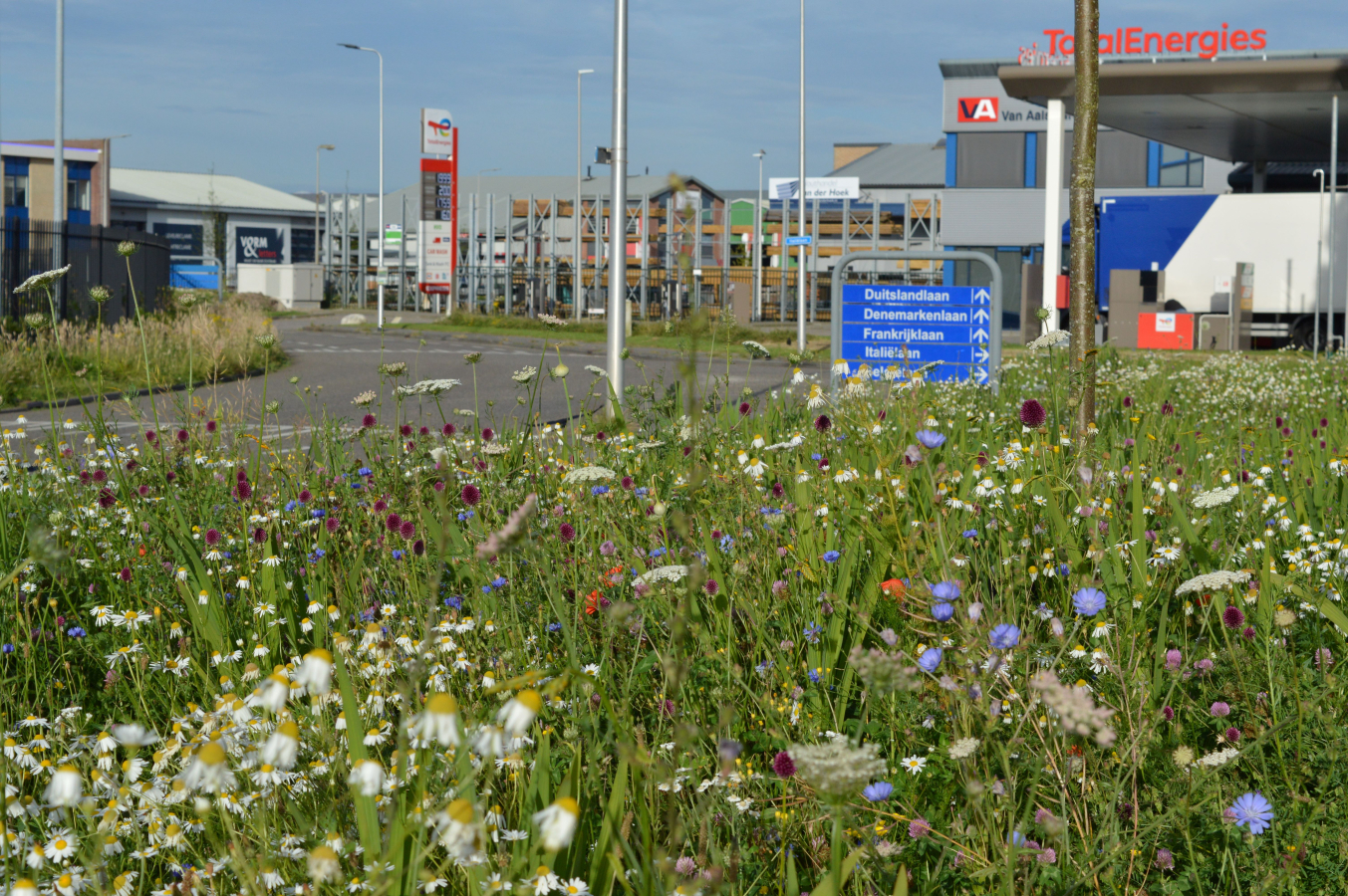 bonte berm op ITC-terrein Hazerswoude