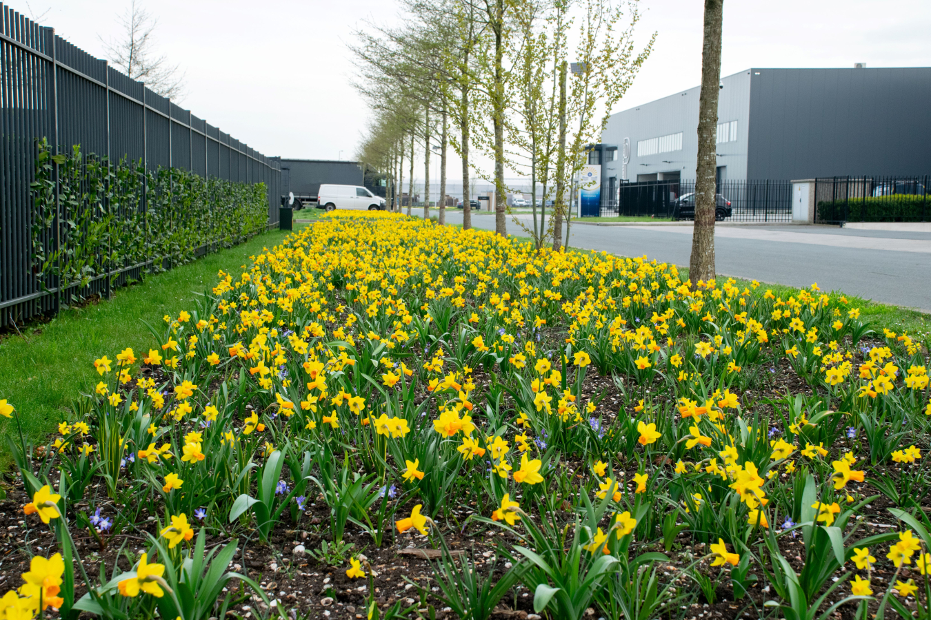 bonte berm op ITC-terrein Hazerswoude