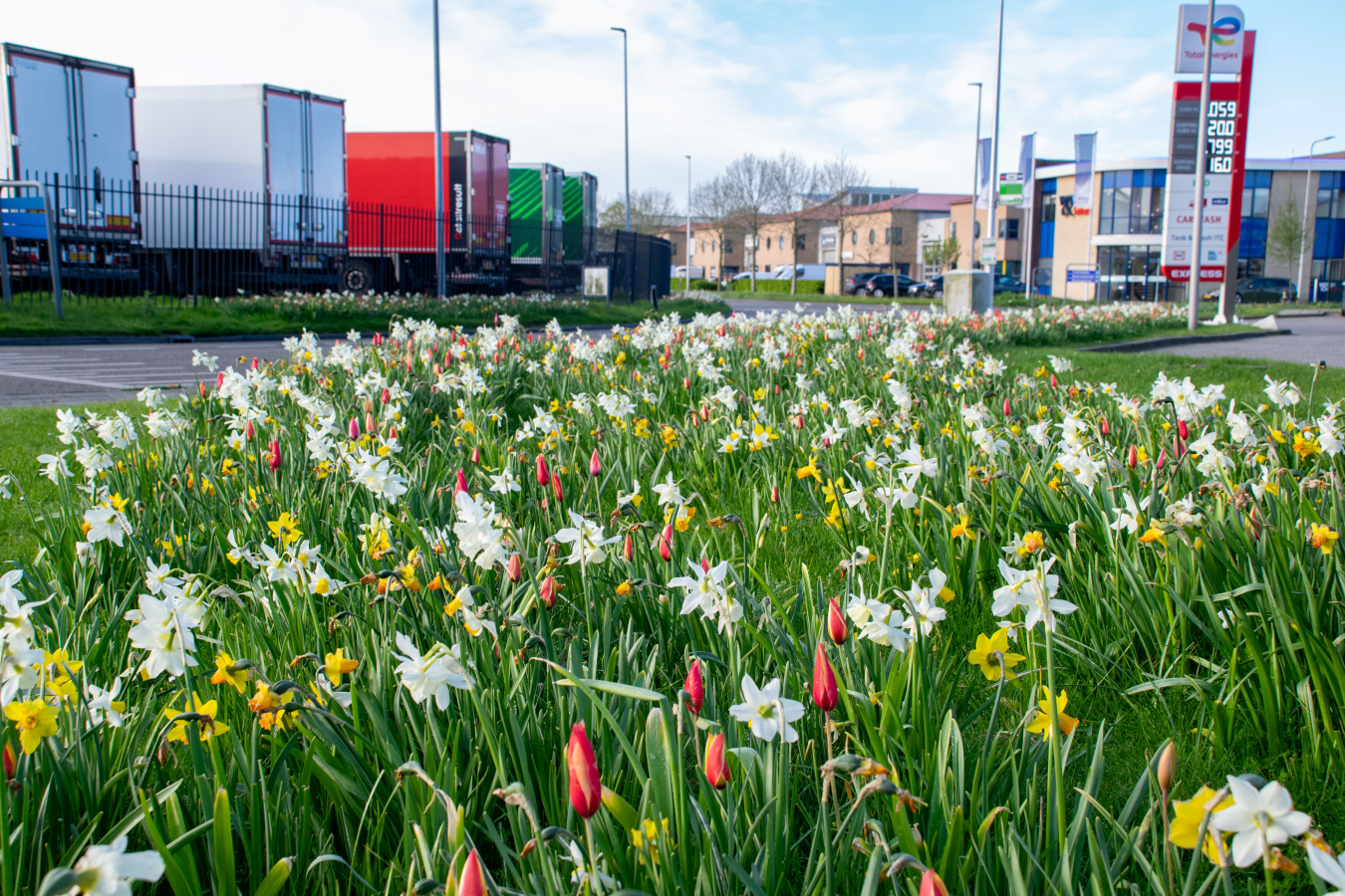 bonte berm op ITC-terrein Hazerswoude