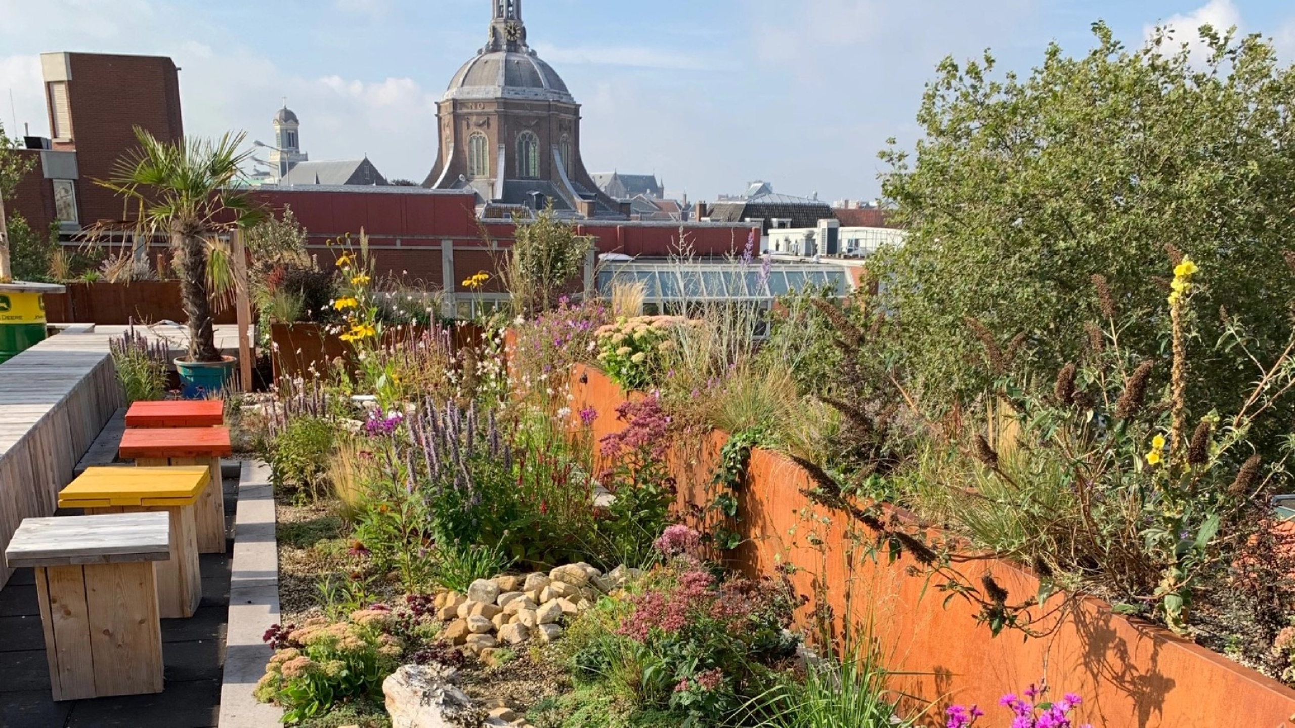 biodivers groen dak in Leiden