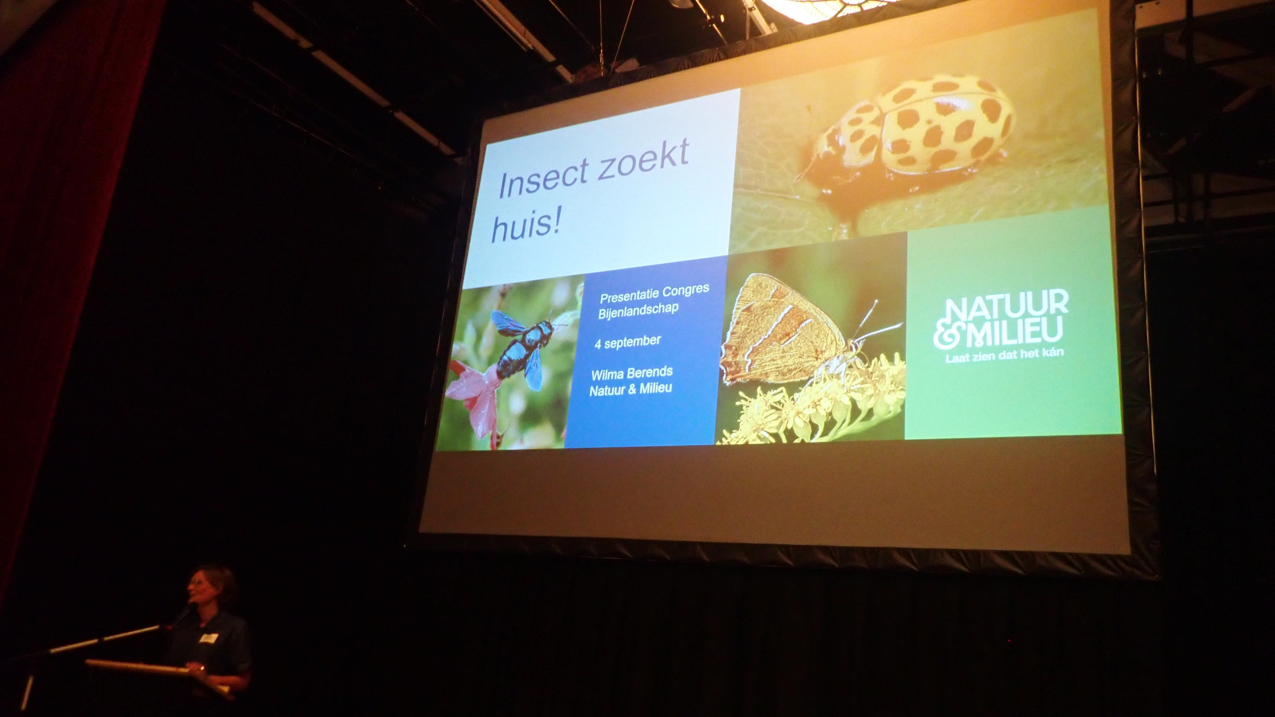 presentatie Wilma Berends: Insect zoekt huis!