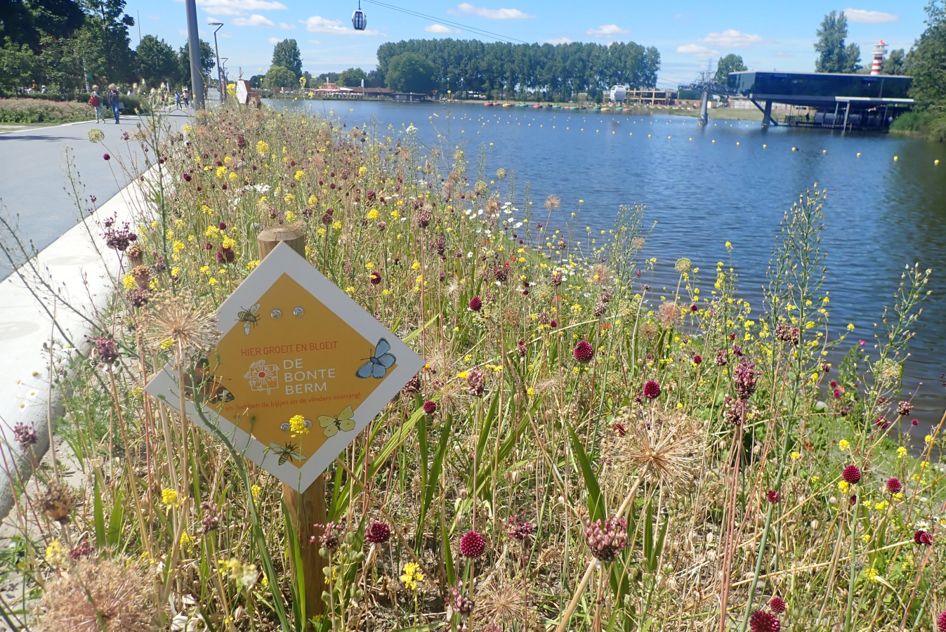 Bonte berm met uitgebloeide en bloeienden planten, Floriade 2022