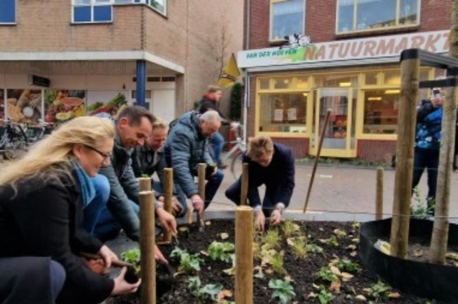 mensen planten plantjes in plantvak in winkelstraat