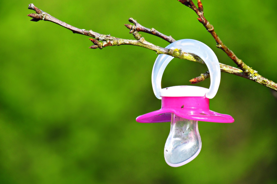 fopspeen hangt aan een takje van een boom