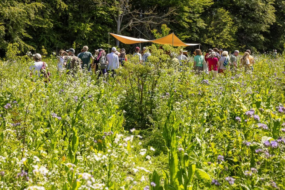 groepje mensen onder schaduwdoek temidden van biodiversie jonge aanplant