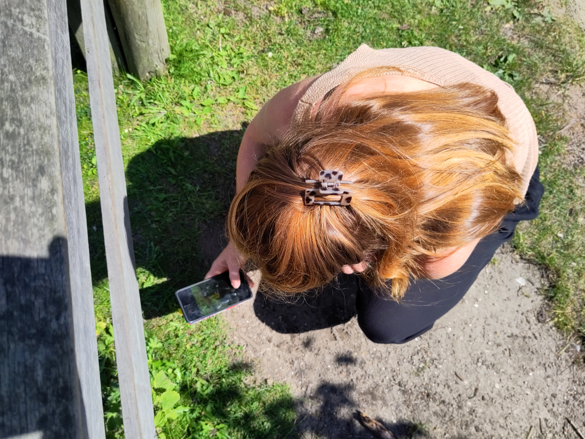 Vrouw bestudeerd plantje met telefoon, van bovenaf gezien