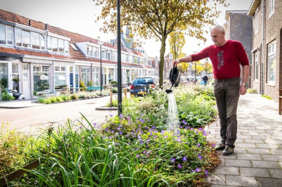 bewoner geeft planten water in een bloeiende groenstrook langs de stoep