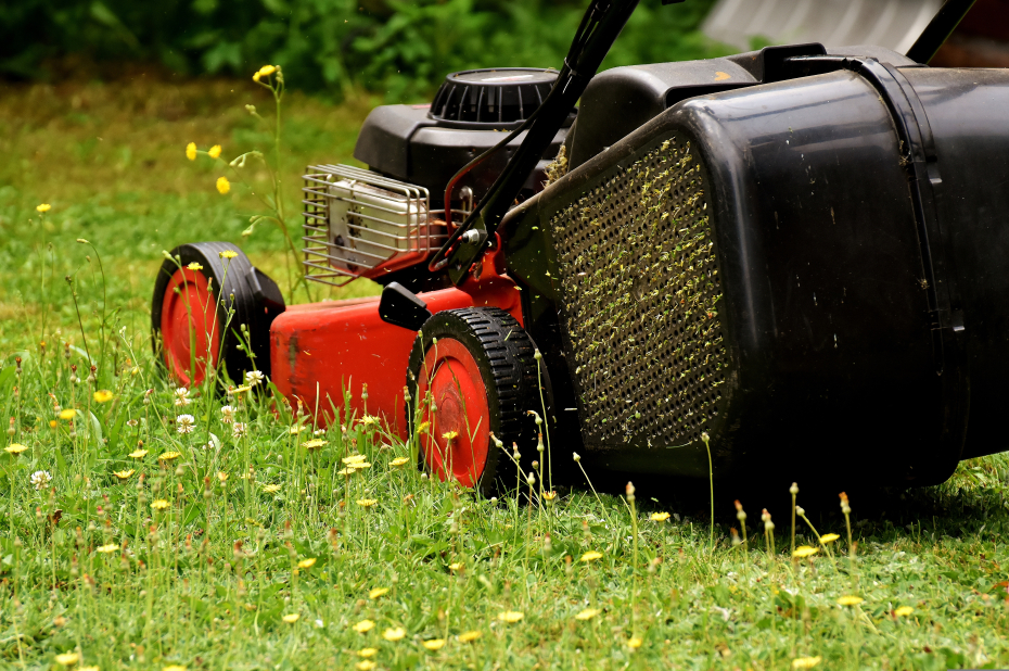 grasmaaier in een bloemrijk gazon