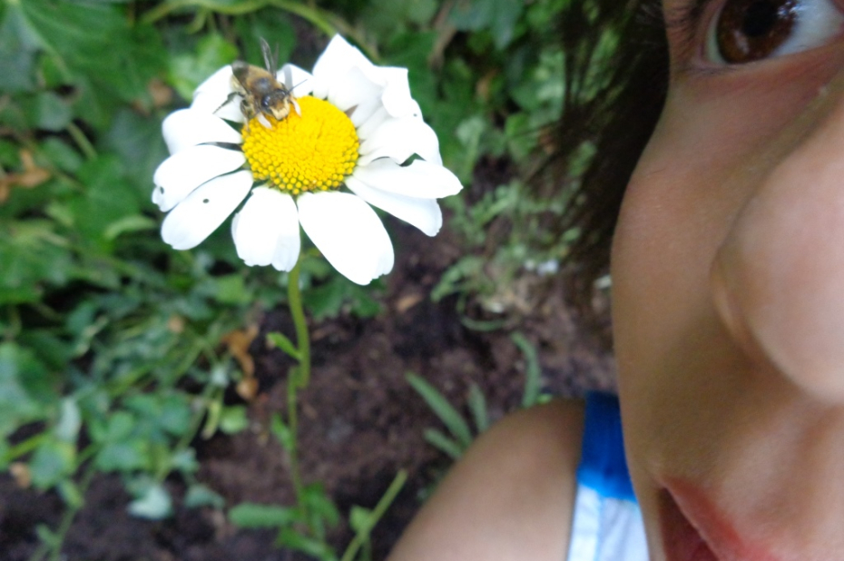 Meisje kijkt naar een bloem met een bij