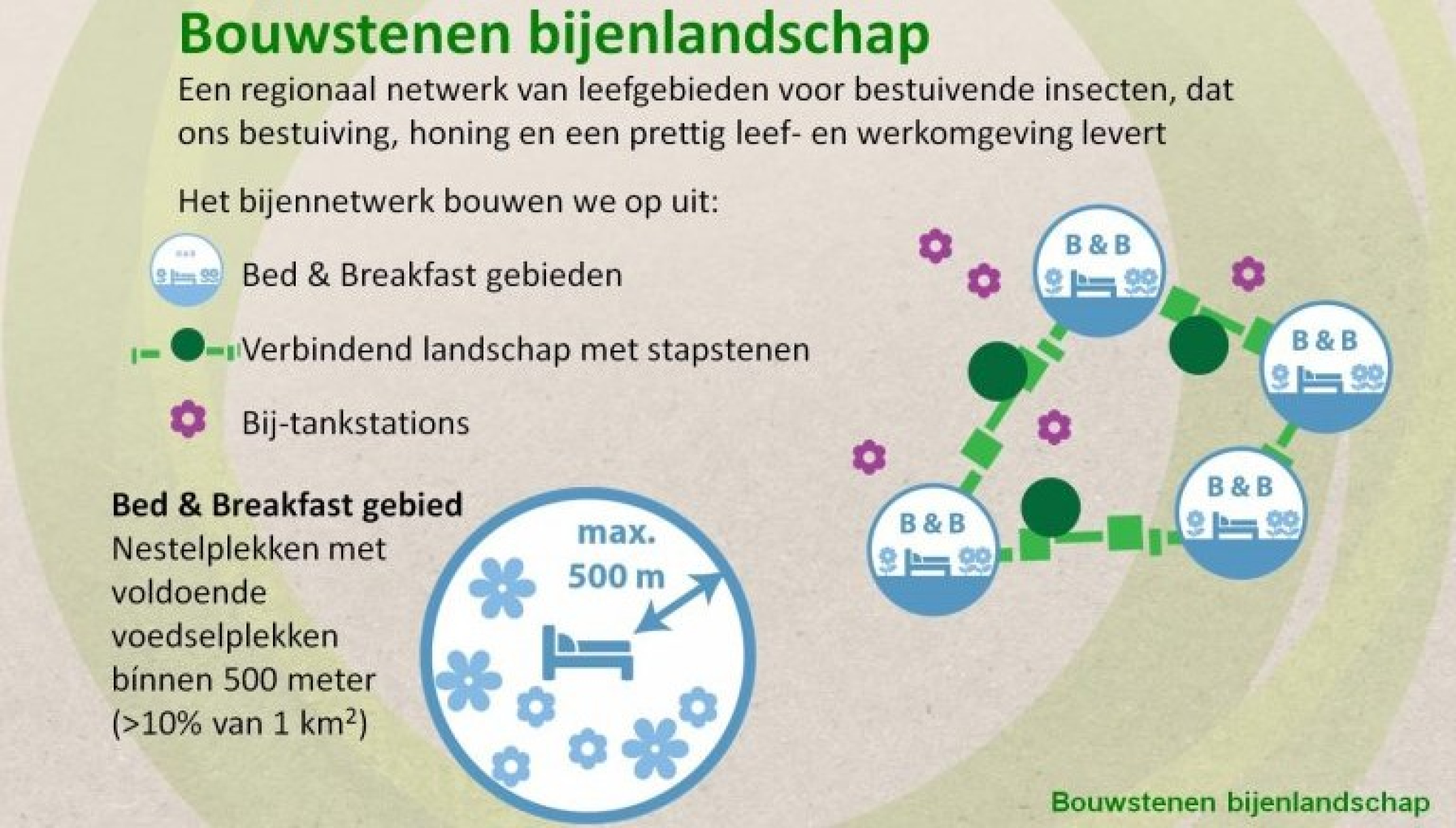 Schema bouwstenen van het bijenlandschap: Bed&Breakfastgebieden, verbindend landschap met stapstenen en bij-tankstations
