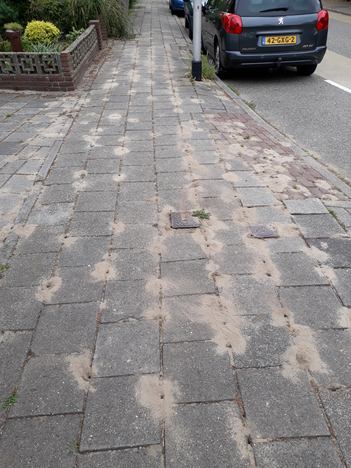 Stoep met de ingangen van bijennesten tussen de tegels. Er ligt zand op de stoep rond de ingangen.