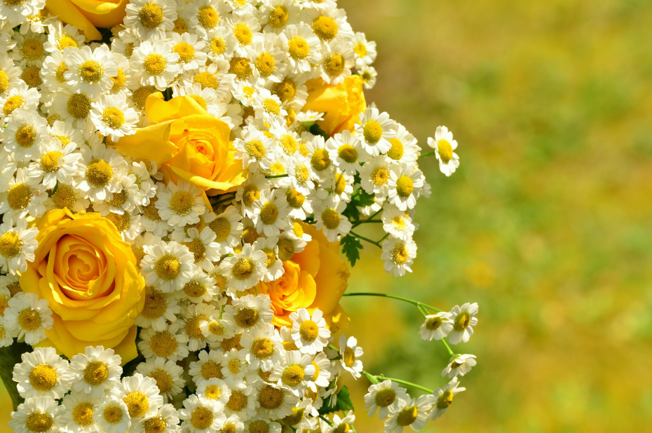 bos bloemen met gevulde rozen, waar een bij niet in kan, en kamille, waar bijen graag stuifleem en nectar op komen halen.