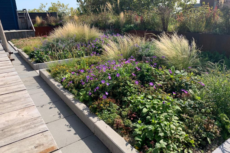 Bloembakken met gevarieerde beplanting en een loopvlonder op een dak