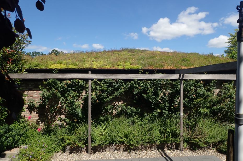 gebouw met een schuin groen dak en planten tegen de gevel.