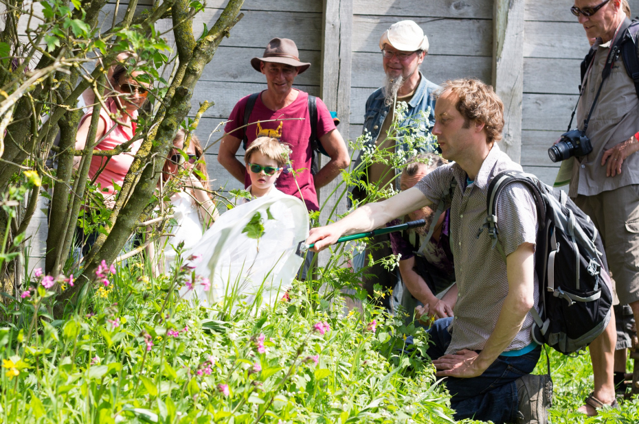 Bijenonderzoeker Menno Reemer laat zien hoe hij werkt met een insectennet