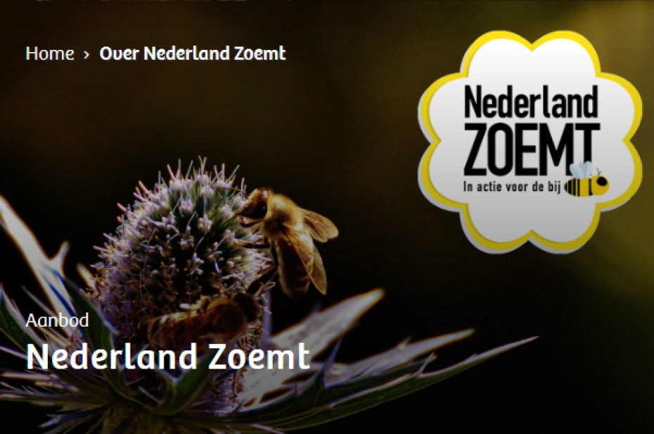 preview website Nederland Zoemt