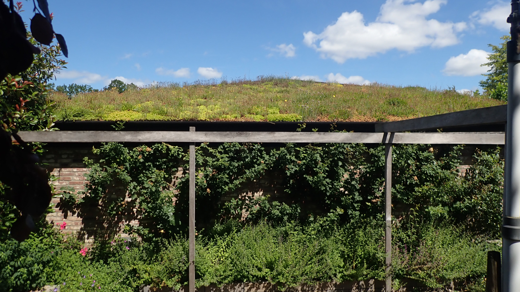 gebouw met groen dak