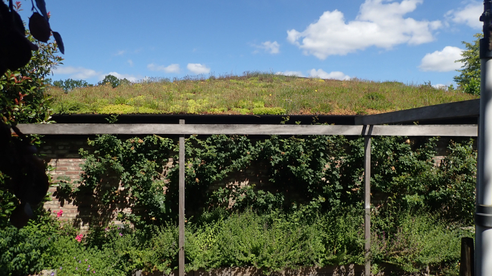 gebouw met groen dak