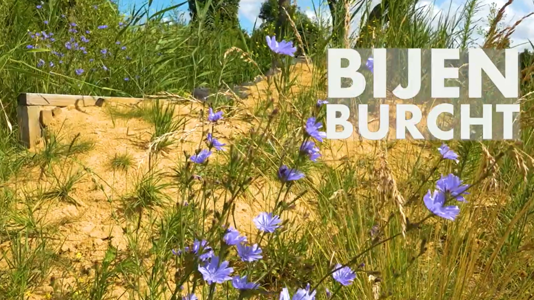 Still video Bijenburcht