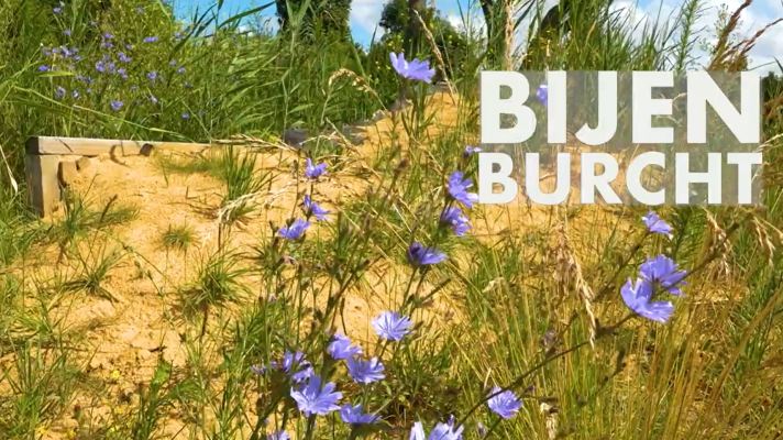 Still video Bijenburcht