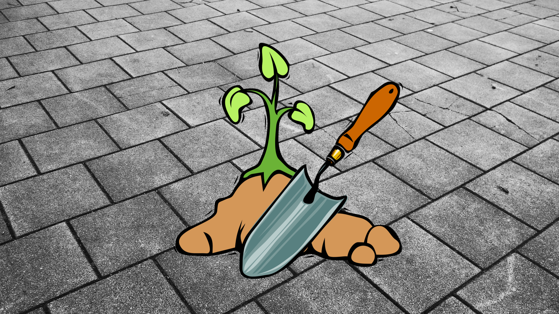 plantschepje en plant op achtergrond van stoeptegels