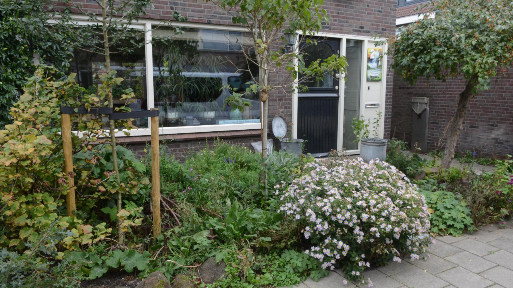 bijvriendelijke voortuin