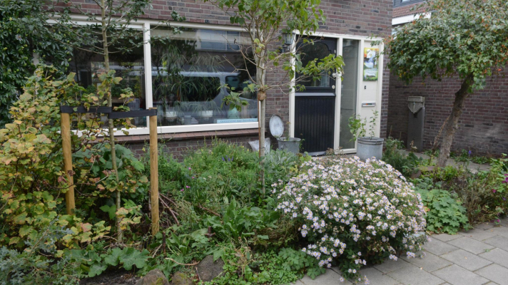 Bijvriendelijke voortuin