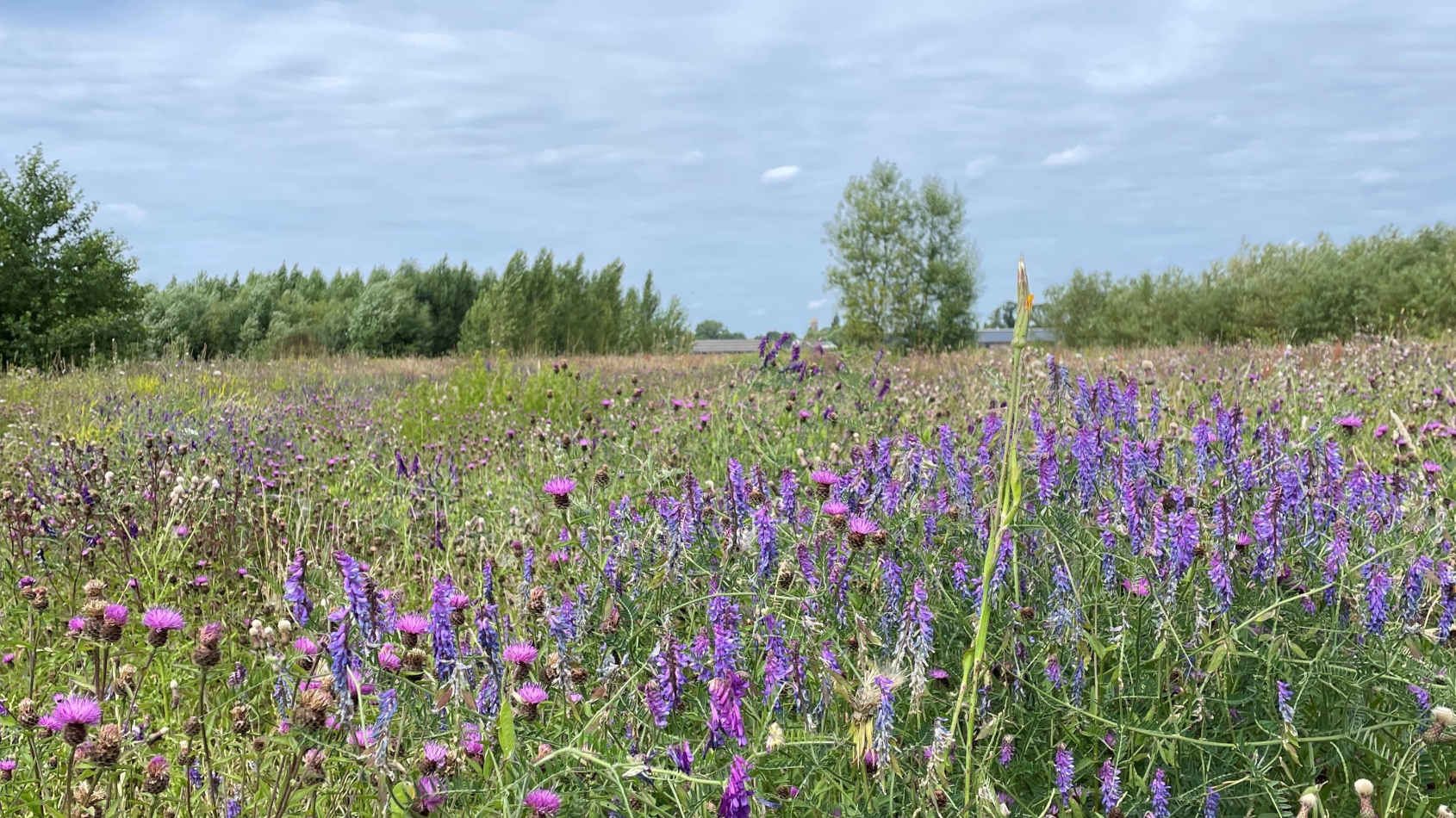 Natuur- en recreatiegebieden