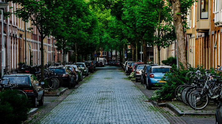 stedelijke straat met bomen, geparkeerde auto's en fietsenstallingen