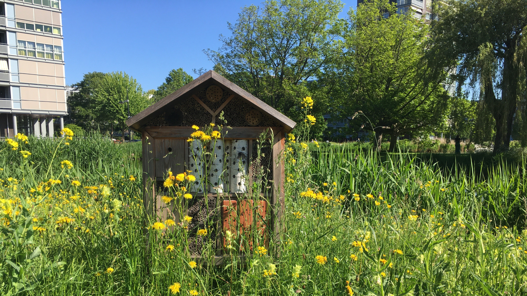 bloemrijke berm en insectenhotel in park
