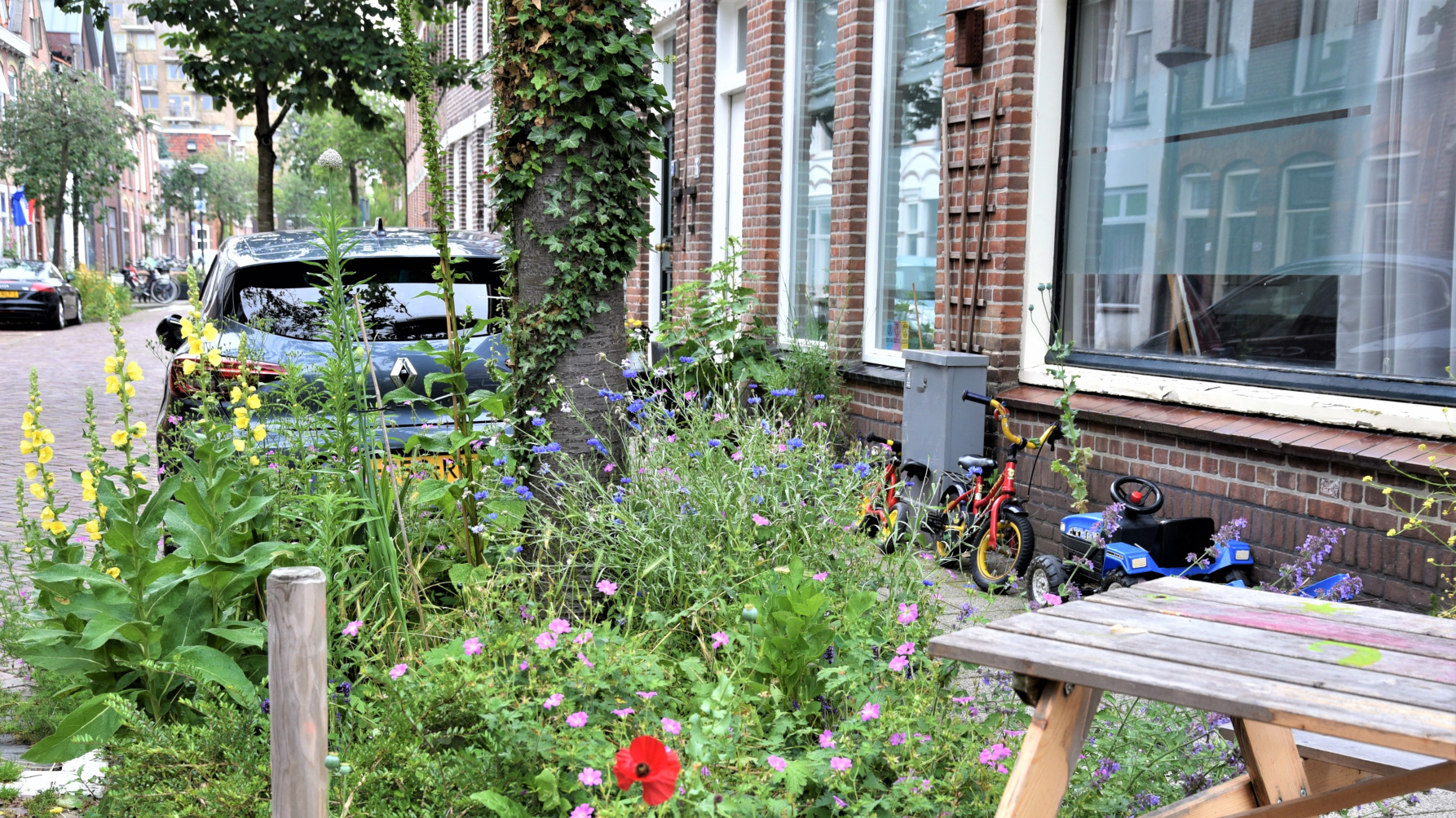 vergroende straat met bloeiende boomspiegel