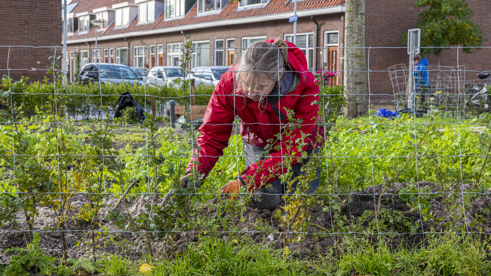 iemand plant een haag in de stad.