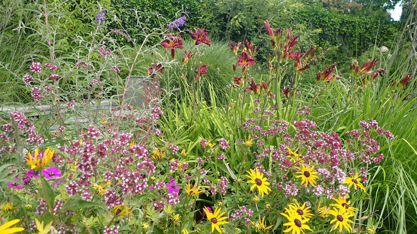 weelderig bloeiende bloemen in een tuin