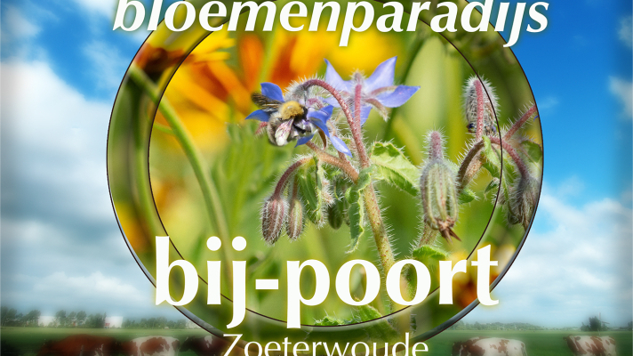 Bloemenparadijs Bijpoort Zoeterwoude