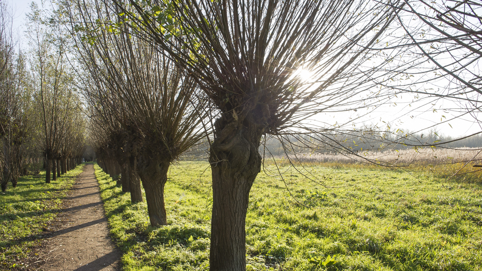 Kleine landschapselementen