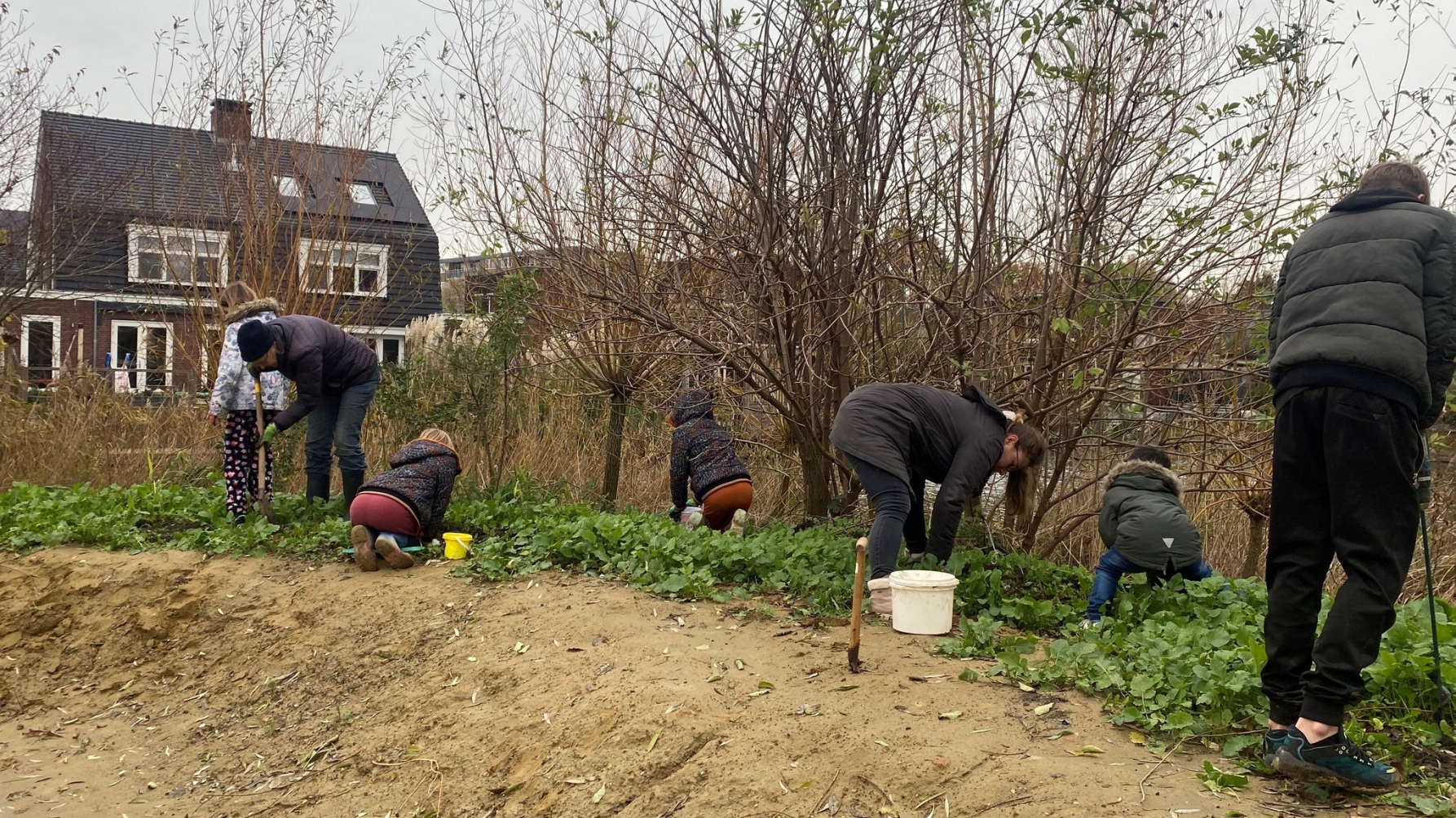 Vrijwilligers, volwassenen en kinderen, planten bollen bij nieuwe insectenheuvel. 