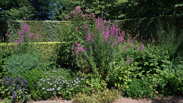 tuin met bloemen en hagen aan een klinkerstraatje