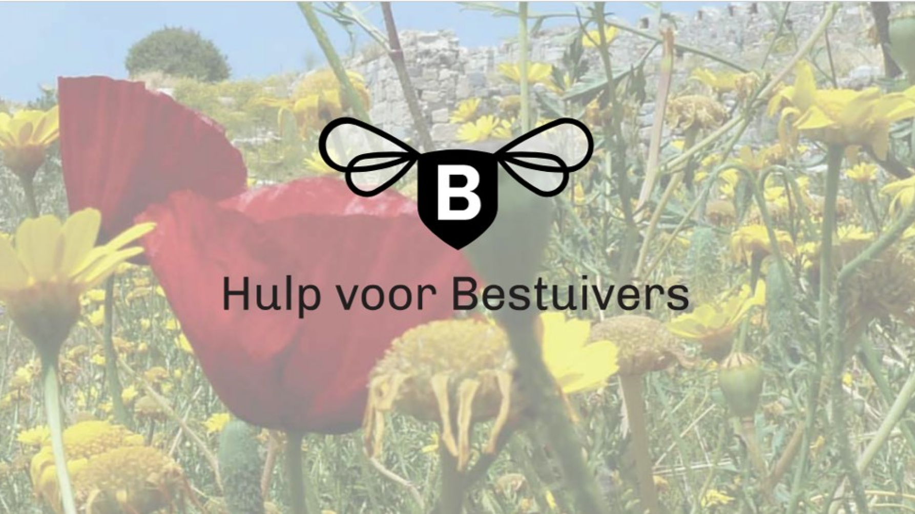 preview Hulp voor Bestuivers