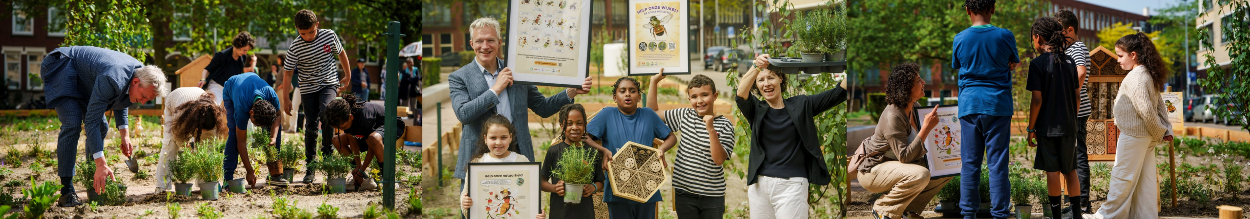 Samen maken we het Bijenlandschap! Doe je mee?