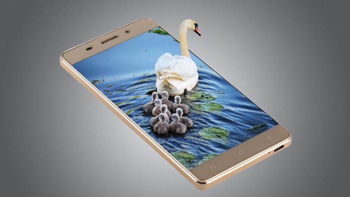 smartphone met daarop een foto van een zwaan met jongen