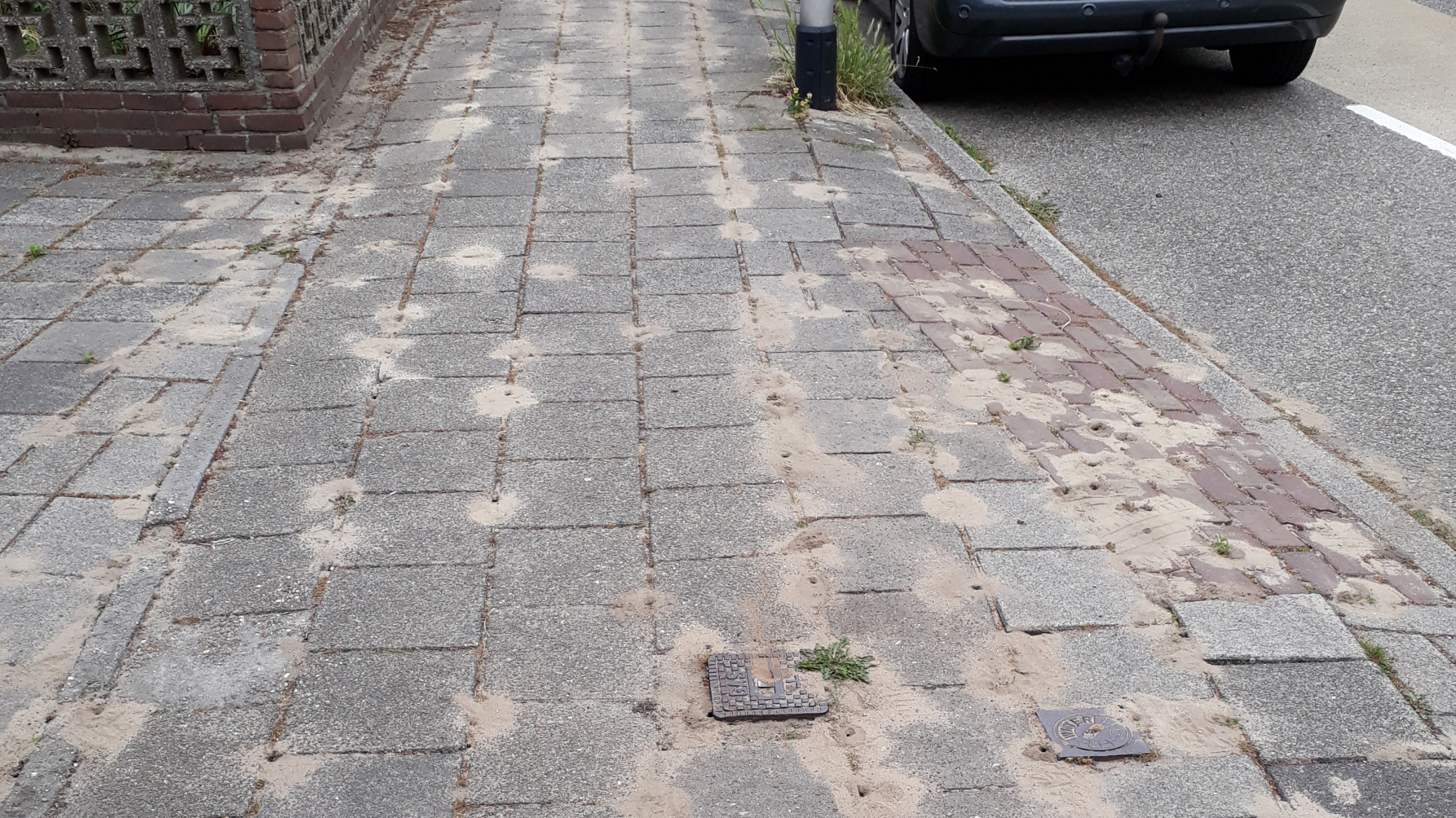 stoep met plekken waar wlde bijen nestelen, te herkennen aan een gaatje met veel zand er omheen