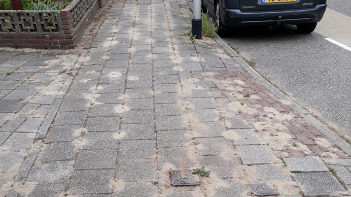 stoep met plekken waar wlde bijen nestelen, te herkennen aan een gaatje met veel zand er omheen