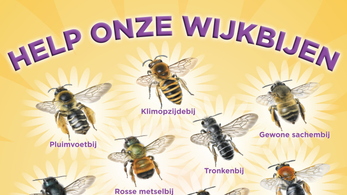 poster help onze wijkbijen