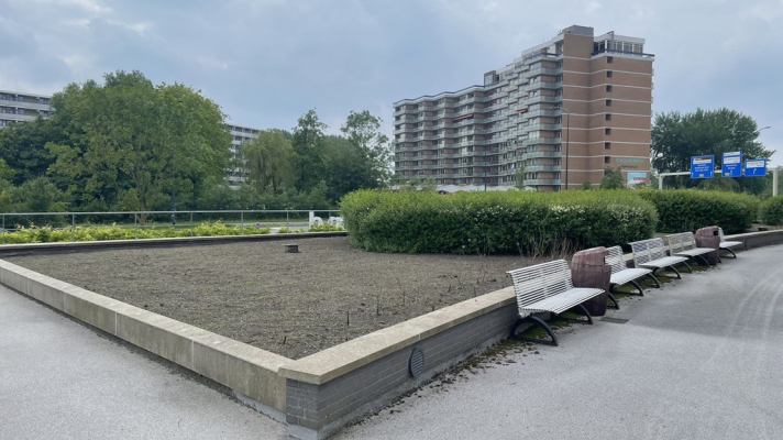 pas ingezaaid verhoogd plantvak hoogheemraadschap avan rijnland