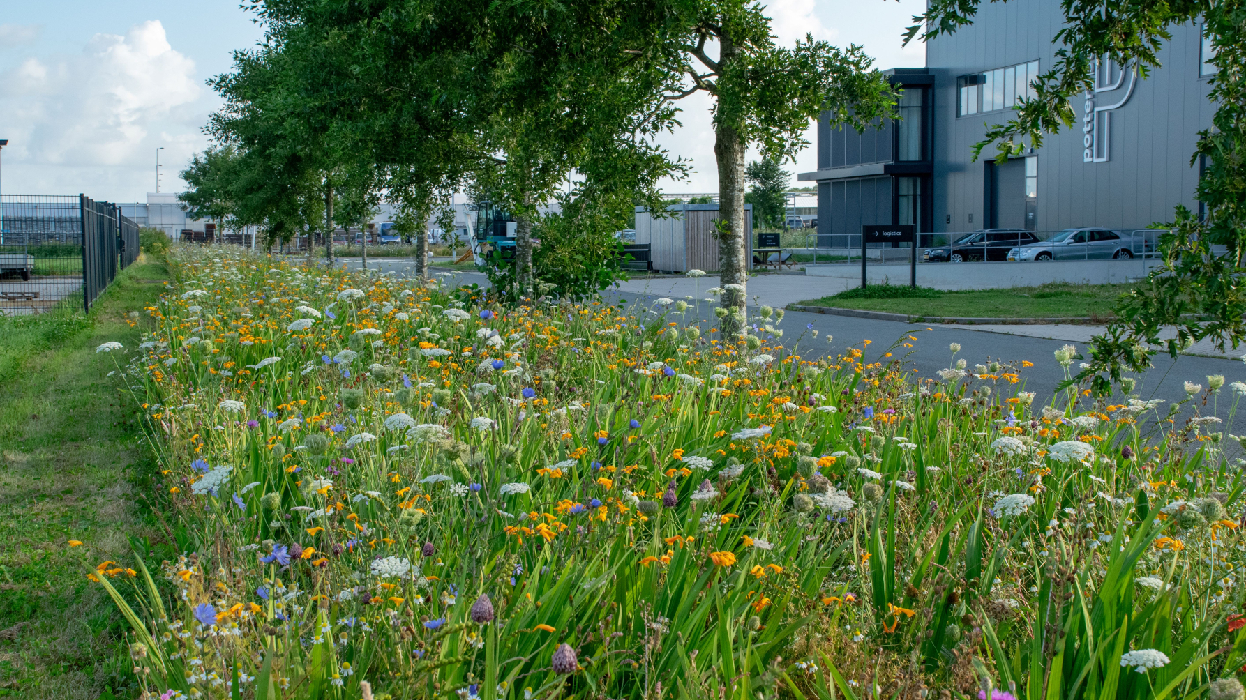 bonte berm op ITC-terrein Hazerswoude