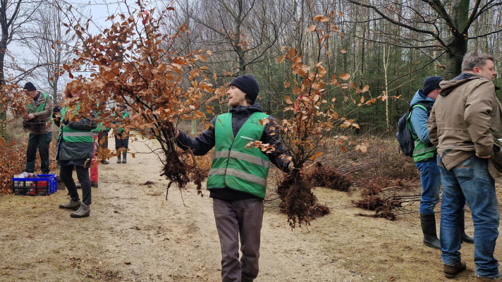 vrijwilliger met zaailingen van bomen in zijn handen in het bos