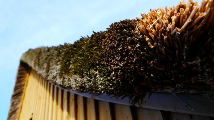 rand van een rieten dak langs een gevel